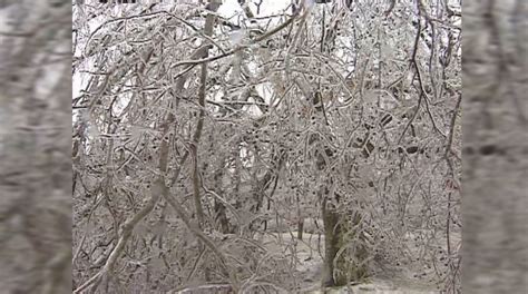 Remembering The Crippling Ice Storm Of 1994 Wkrn News 2