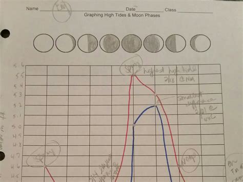 Graphing Spring Tides Neap Tides And Moon Phases Middle School