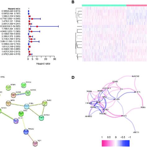 Identification Of Candidate Ferroptosis Related Genes In Tcga Cohort Download Scientific