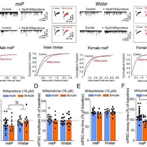 Glucocorticoid receptors regulate CeA GABA activity in msP rats, but... | Download Scientific ...