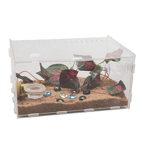 Buy Yzeximagnetic Acrylic Reptile Cage X X Inch Breeding Box