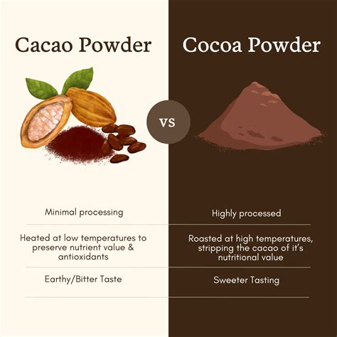 Cacao Powder Vs Cocoa Powder Understanding The Differences