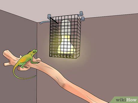 How to Build a Reptile Cage: 12 Steps (with Pictures) - wikiHow