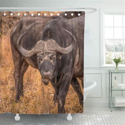 Order Black Bison Bathroom Shower Curtain From Brightroomy Now