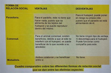 Tengo Que Realizar Un Cuadro Comparativo Entre Las Diferentes Tipos De