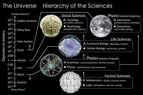 The Study Of Different Branches Of Sciences Terminologies