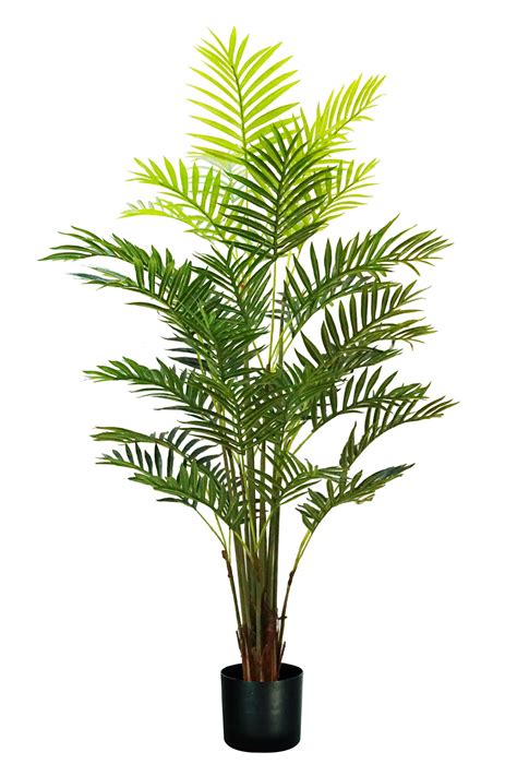 Pianta Artificiale Palma Areca H160 Cm Con Vaso Verde Leroy Merlin