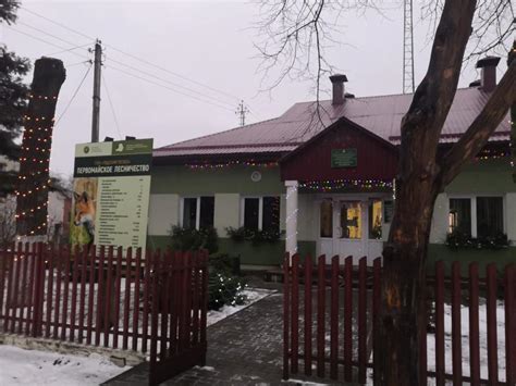Первомайское лесничество