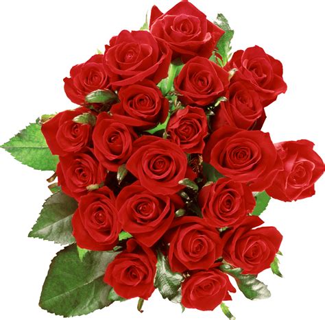 Bouquet Of Roses Png Hd Transparent Bouquet Of Roses Hd Png Images