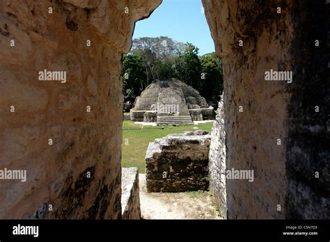 Caracol Ruins Belize Stock Photo - Alamy