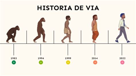 Etapas De EvoluciÓn Humana