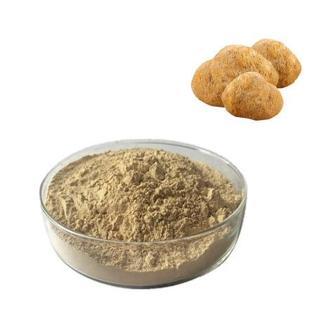 Hericium Erinaceus Mushroom Extract Hericium Erinaceus Powder China