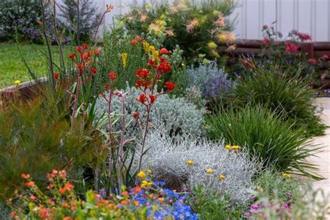 An Australian Native Cottage Garden The Botanical Planet Artofit