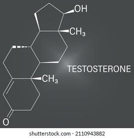 Testosterone Male Sex Hormone Androgen Molecule Stock Vector Royalty Free 2110943882