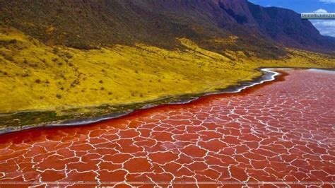 The Red Lake Natron In Tanzania Geology In