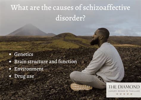 Schizoaffective disorder: definition, causes, symptoms, and treatments ...