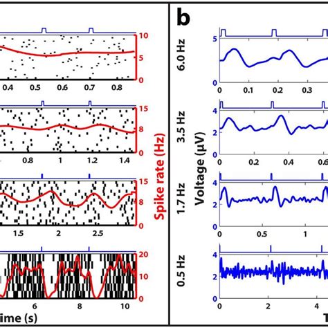 Frequency Responses Of Subretinal Glutamate Stimulation A