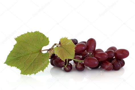 Red Grapes on the Vine Stock Photo by ©marilyna 1984614