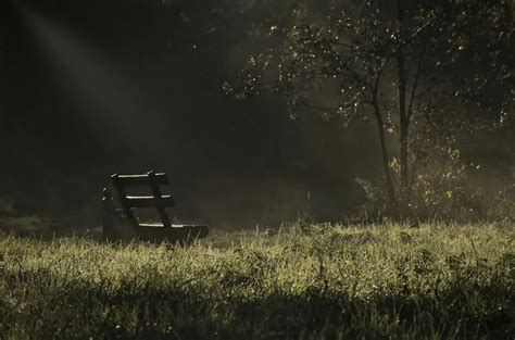 Support Solace With Grief Resources Mcdougal Funeral Home