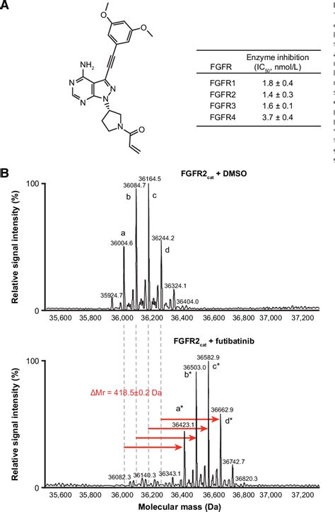 Figure 1 From Futibatinib Is A Novel Irreversible FGFR 14 Inhibitor