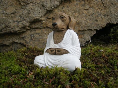 Meditating Dog Buddha Dog Buddhas Meditating Animal Zen - Etsy