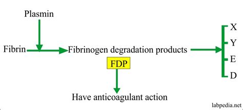 Fibrinogen Degradation products (FDP) or Fibrin split products (FSP), and d-Dimer – Labpedia.net