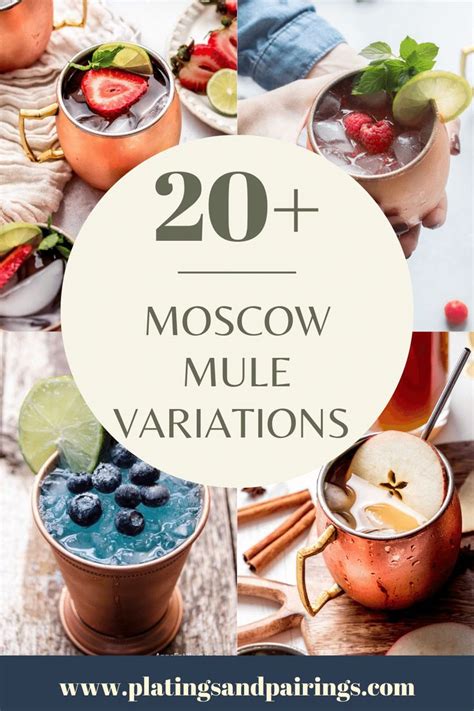 20 Moscow Mule Variations For You To Try When You Want A Twist