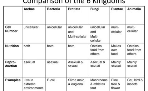 Six Kingdoms Characteristics Chart – Otosection