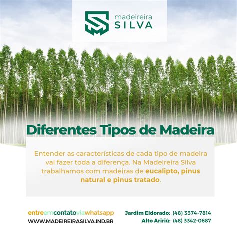 Diferentes tipos de madeira Madeireira Silva Palhoça