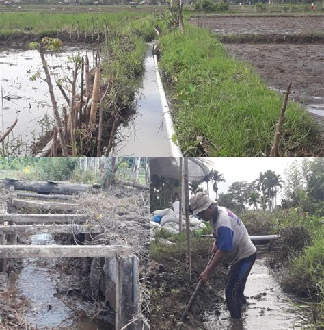 Puluhan Hektare Sawah Butuh Pembangunan Saluran Irigasi Gana News