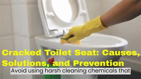 Cracked Toilet Seat Causes Solutions And Prevention YouTube