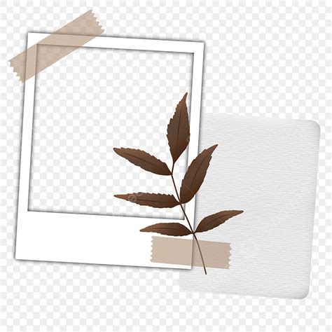 Polaroid Tape PNG Picture Polaroid Frame Social Media Dry Leaf Brown