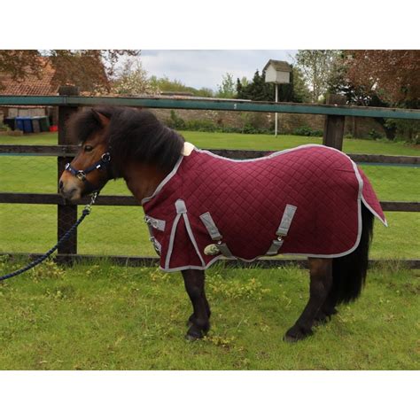 Shetland Miniature Donkey Triple Layer Wicking Rug Shetlandminiature