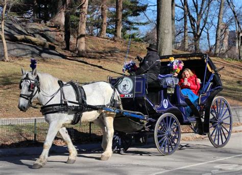 NYC Promenade en calèche à Central Park avec photos GetYourGuide