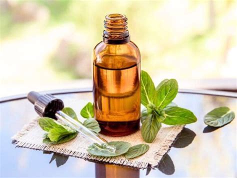 6 Amazing Benefits of Peppermint Oil for Hair Growth - Lexie Lazuli