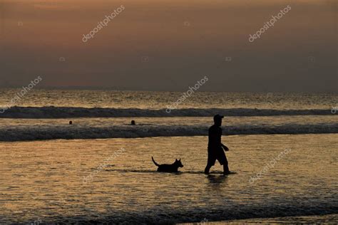 Silueta Del Hombre Con Perro En La Playa Al Atardecer Foto Como Fondo