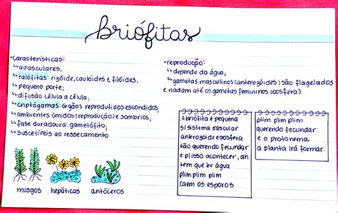 Mapa Mental Sobre Bri Fitas Maps Study