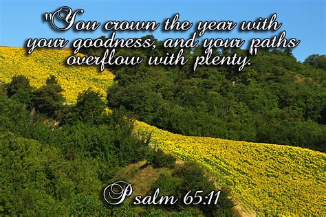 You Crown The Year With Your Goodness Psalm 65 11 Psalm 65 11 Psalm