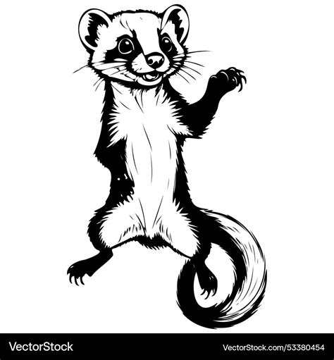 Black Footed Ferret Jump Drawing Black Silhouette Vector Image