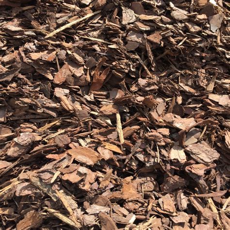 Gardeners Duties Before Apply Pine Bark Nuggets As Mulch