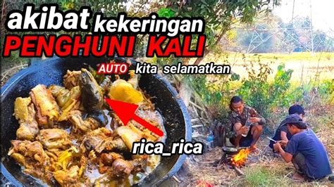 BERBURU DI MUSIM KEMARAUNGEBOLANG TANGKAP HEWAN IRIGASI YouTube