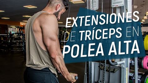 Extensión de Tríceps en Polea Alta Agarre Invertido Supinación