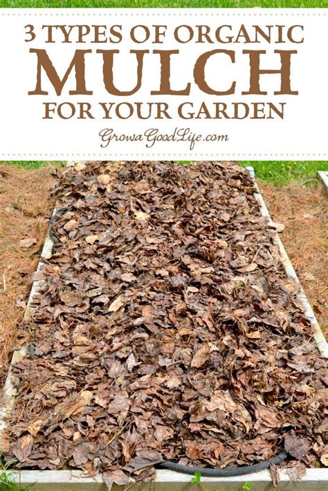 5 Ways Organic Mulch Helps Your Vegetable Garden Artofit