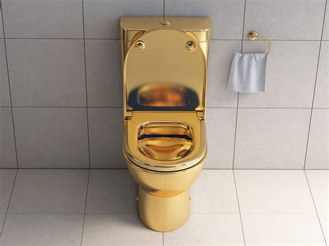 Out Of This World The Most Expensive Toilet In The World The