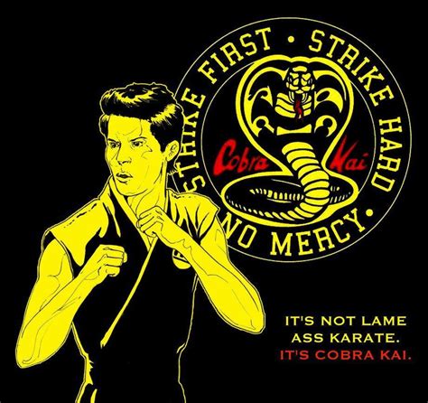 Cobra Kai Wallpapers Top Free Cobra Kai Backgrounds Wallpaperaccess