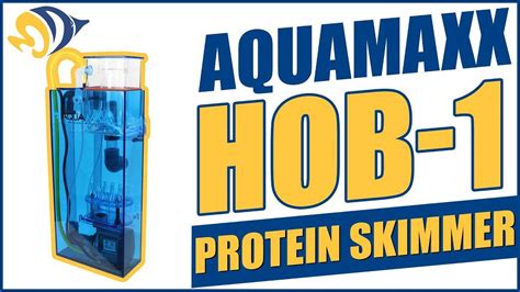 Aquamaxx Hob Protein Skimmer What You Need To Know Bulk Reef Supply