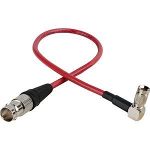 Laird 1 3G SDI DIN RA 1 0 2 3 To BNC F Adapter Cable For Red One