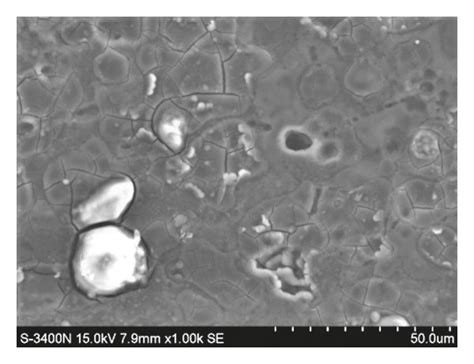 Corrosion Morphology Of 7075 Aluminum Alloy Irradiated By Different