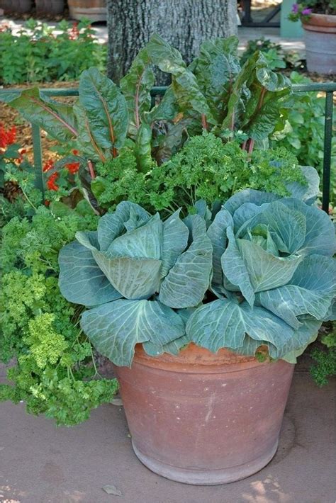 Creative DIY patio ideas for vegetable gardening in pots | My desired home | Vegetable garden ...