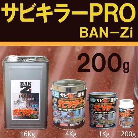 サビキラーpro 【200g シルバー】 Ban−zi バンジ 000000001967 00200塗料屋さんcom 通販